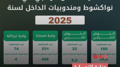 صورة وزارة التجارة ترصد آلاف المخالفات وتصادر كميات معتبره من المواد خلال 2025