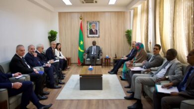 صورة وزير الشؤون الخارجية يبحث مع وفد إيطالي تعزيز الشراكة