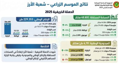 صورة وزارة الزراعة : ارتفاع الإنتاج الوطني من الأرز بنسبة 27% خلال موسم 2025