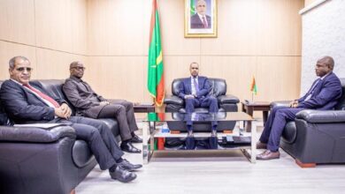 صورة المندوب العام للتضامن الوطني يجري مباحثات مع الممثل المقيم لبرنامج الأمم المتحدة للتنمية