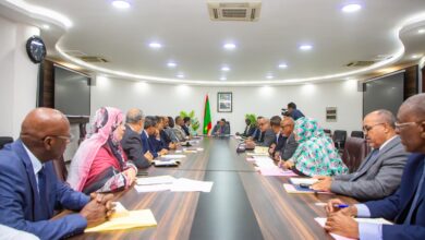 صورة الوزير الأول يؤكد جاهزية الحكومة لإطلاق عملية رمضان 2026