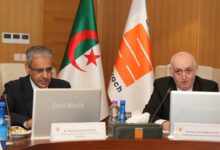 صورة وزير الطاقة يبحث تعزيز التعاون مع شركات جزائرية في مجال المحروقات والكهرباء والتكوين الفني