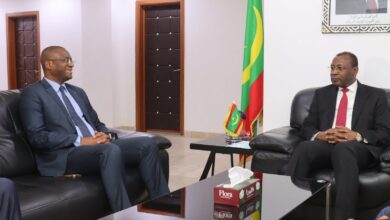 صورة وزير التنمية الحيوانية يبحث مع نظيره الإيفواري تعزيز التعاون في مجال التنمية الحيوانية