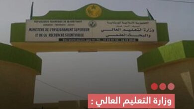 صورة وزارة التعليم العالي أكثر من 20ألف طالب استفادوا من المنح الجامعية بعد دراسة التظلمات