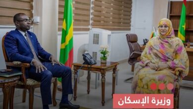 صورة وزيرة الإسكان تبحث مع وفد من AFRICATIP تعزيز في مجال البني التحتية