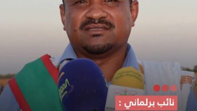 صورة نائب برلماني وحدات من الجيش المالي دخلت صباح اليوم إلى قرية تابعة لبلدية كوكي الزمال وحاولت إنزال العلم الوطني