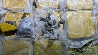 صورة المكتب المركزي لمكافحة تهريب المخدرات: يفكك شبكة لترويج المخدرات ويضبط كميات معتبرة