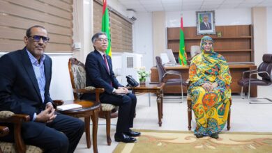 صورة وزيرة الإسكان  تبحث مع السفير الياباني تعزيز التعاون في مجال العمران