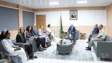 صورة وزير الدفاع يستقبل وفدا من مكتب الأمم المتحدة المعني بالمخدرات والجريمة