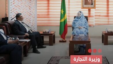 صورة وزيرة التجارة  تبحث مع السفير الفلسطيني تعزيز العلاقات الثنائية