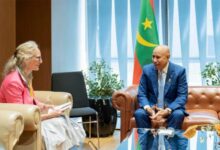 صورة رئيس الجمهورية يلتقي السفيرة المبعوثة الخاصة لمنطقة الساحل