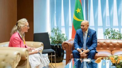 صورة رئيس الجمهورية يلتقي السفيرة المبعوثة الخاصة لمنطقة الساحل