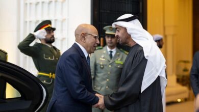 صورة غزواني وبن زايد  يبحثان تعزيز التعاون وتطورات المنطقة