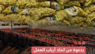 صورة بدعوة من اتحاد أرباب العمل  إعلاميون يطلعون ميدانيا على ديناميكية الإنتاج الزراعي في آفطوط الساحلي