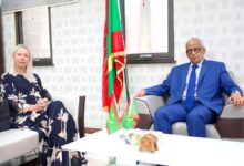 صورة وزير الاقتصاد  يبحث تعزيز التعاون مع البنك الإفريقي للتنمية وتسريع تنفيذ المشاريع