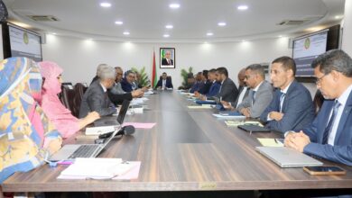 صورة الوزير الأول يترأس اجتماع اللجنة الوزارية المكلفة  بتطوير الشراكة بين القطاعين العام والخاص