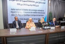 صورة وزيرة الوظيفة العمومية والعمل تشرف على افتتاح ورشة حول الاستراتيجية الوطنية لهجرة اليد العاملة والتنقل الدولي