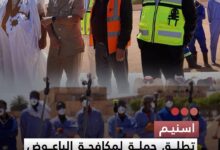 صورة اسنيم تطلق حملة لمكافحة الباعوض والحشرات بمدينة ازويرات