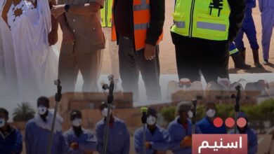 صورة اسنيم  تطلق حملة لمكافحة الباعوض والحشرات بمدينة ازويرات