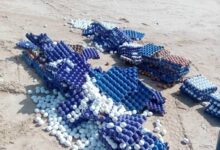 صورة وزارة التجارة والسياحة تباشر إتلاف كميات من المواد الغذائية الفاسدة والمنتهية الصلاحية في العاصمة
