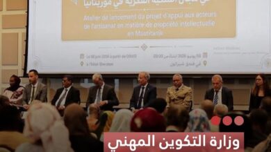 صورة وزارة التكوين المهني  تطلق مشروعا لدعم الحرفيين الموريتانيين في مجال الملكية الفكرية