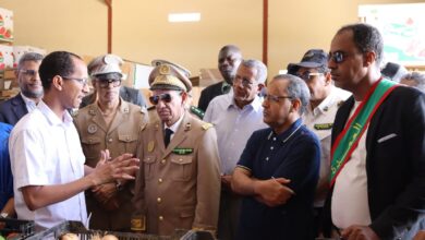 صورة وزير الزارعة  يتفقد مشاريع إنتاج الخضروات وأشغال الري في افطوط