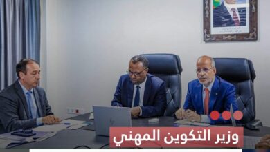 صورة وزير التكوين المهني  يبحث مع المدير العام للوكالة الفرنسية للتنمية تطوير الثانوية الفنية الصناعية