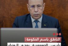 صورة الناطق باسم الحكومة  رئيس الجمهورية يوجه الوزراء بقضاء العطل داخل البلاد ترشيدا للإنفاق ودعما للسياحة الداخلية