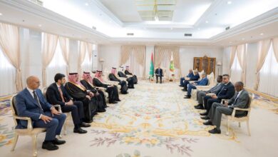 صورة رئيس الجمهورية يستقبل وفدين من الصندوق السعودي للتنمية وشركة أكوا باور