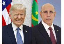 صورة رئيس الجمهورية يهنئ رئيس الولايات المتحدة الأمريكية بمناسبة احتفال بلاده بعيدها الوطني.