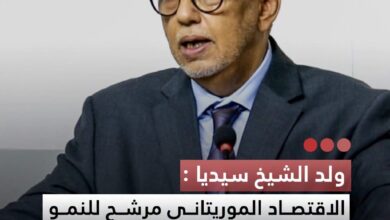 صورة ولد الشيخ سيديا  الاقتصاد الموريتاني مرشح للنمو بين 4 و5% ابتداء من 2027