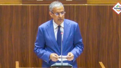 صورة وزير الطاقة أمام البرلمان  عائدات حقل GTA تدار عبر صندوق المحروقات والدولة واصلت دعم أسعار الوقود