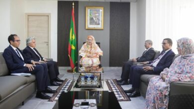 صورة وزيرة التجارة والسياحة تستقبل السفير المصري المعتمد لدى موريتانيا